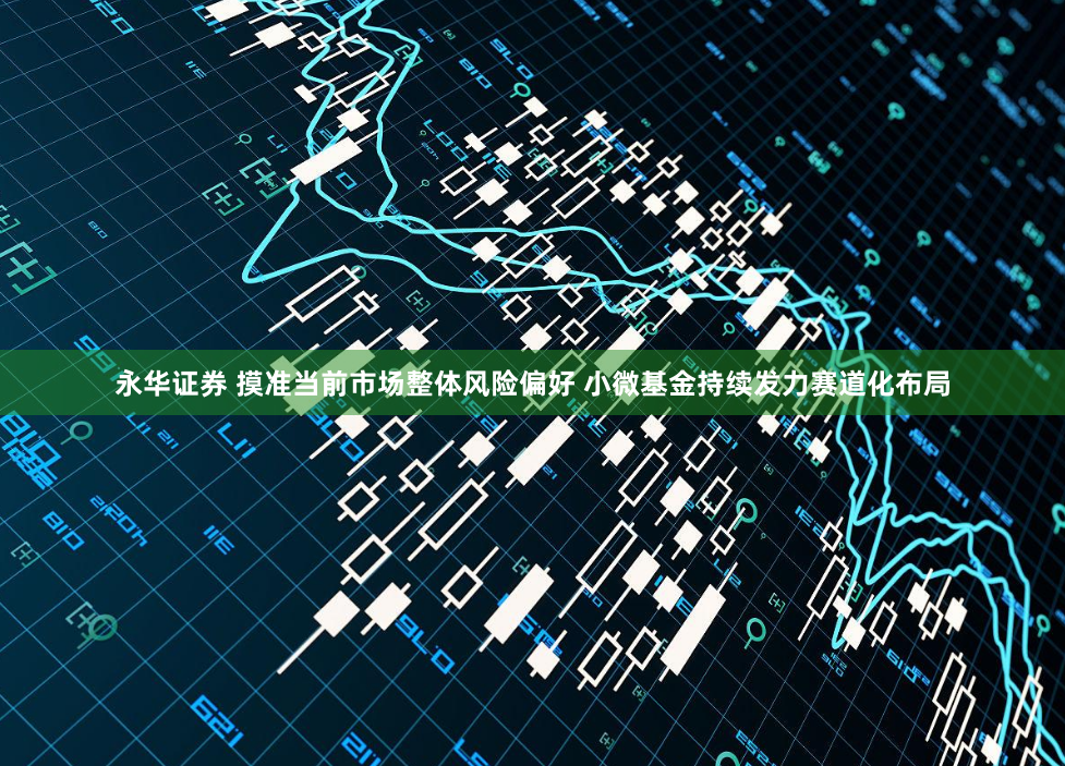 永华证券 摸准当前市场整体风险偏好 小微基金持续发力赛道化布局