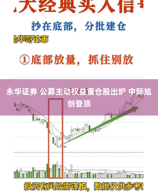 永华证券 公募主动权益重仓股出炉 中际旭创登顶