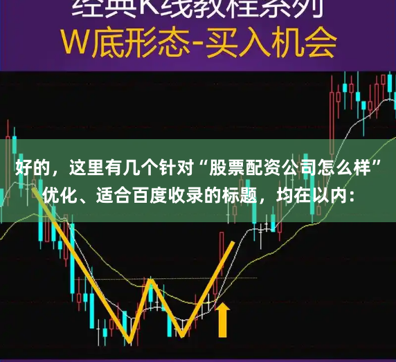 好的，这里有几个针对“股票配资公司怎么样”优化、适合百度收录的标题，均在以内：